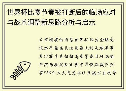 世界杯比赛节奏被打断后的临场应对与战术调整新思路分析与启示